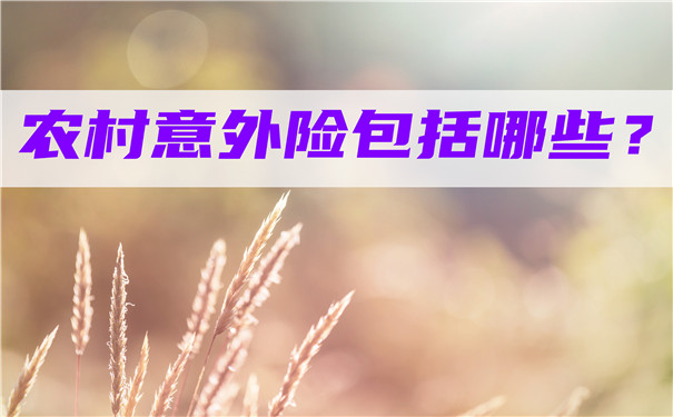 農(nong) 村意外險包括哪些？農(nong) 村意外險包括哪些範圍？插圖