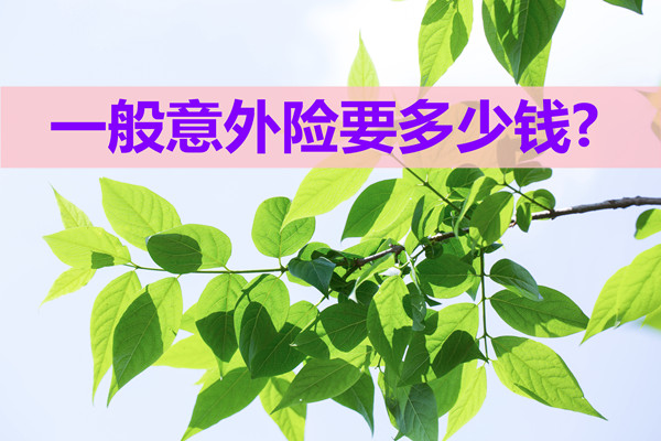 買(mai) 意外險要多少錢？插圖