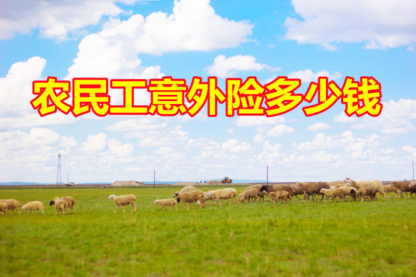 農(nong) 民工意外險多少錢？插圖