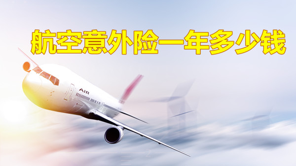 航空意外險的價(jia) 格是多少？航空意外險一年多少錢？插圖