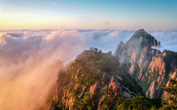 如何購買(mai) 旅遊意外團險？如何購買(mai) 旅遊意外團險？插圖
