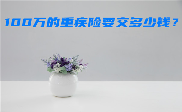 100萬(wan) 重疾險多少錢，100萬(wan) 重疾險要交多少錢？插圖