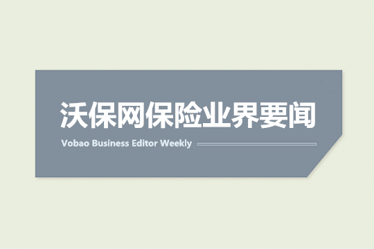 保險業(ye) 正在崛起：業(ye) 務逐步複蘇，重視戰略配置機遇插圖