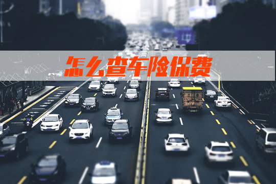 如何查車險保費？查詢方法？如何買(mai) 車險更劃算？插圖