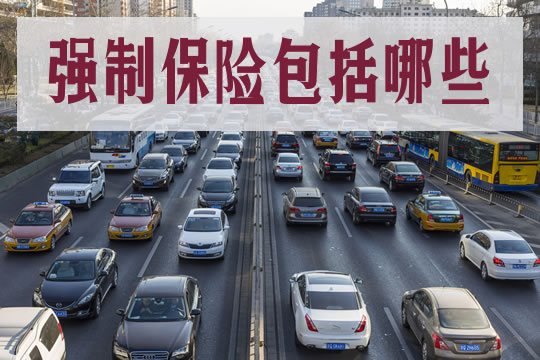 強製保險包括哪些？插圖