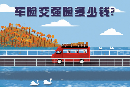 不能買(mai) 車險嗎？車險交強險多少錢？插圖2