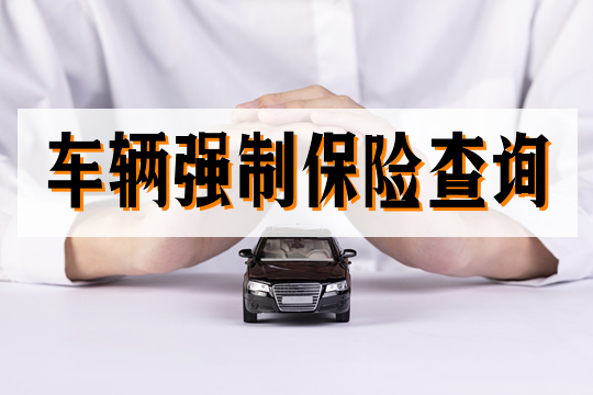 車輛強製保險查詢！車輛強製保險包括哪些？插圖