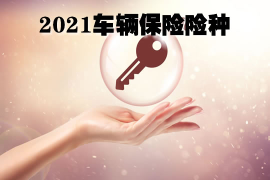 車輛保險類型，車輛保險類型明細插圖