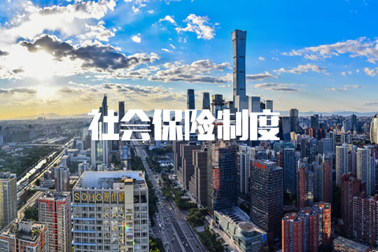什麽(me) 是社會(hui) 保險製度？插圖