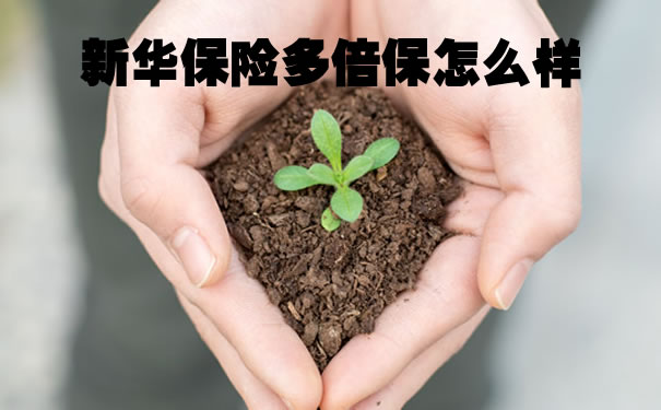 新華保險多倍保怎麽(me) 樣？插圖