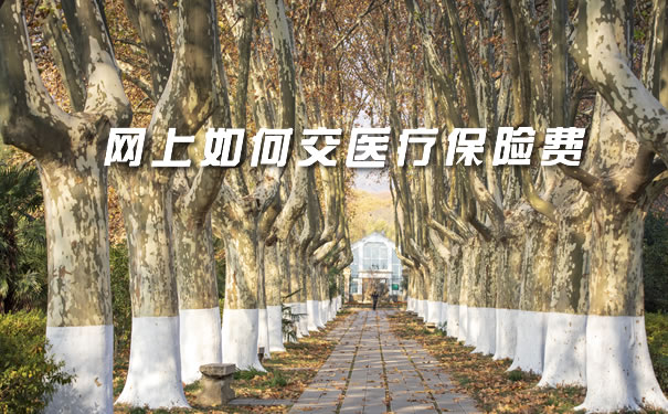 如何在網上繳納醫療保險費插圖