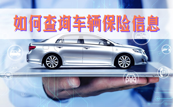 如何查詢車輛保險信息？插圖
