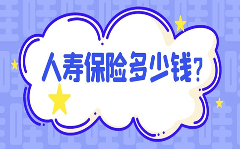 人壽保險多少錢？插圖