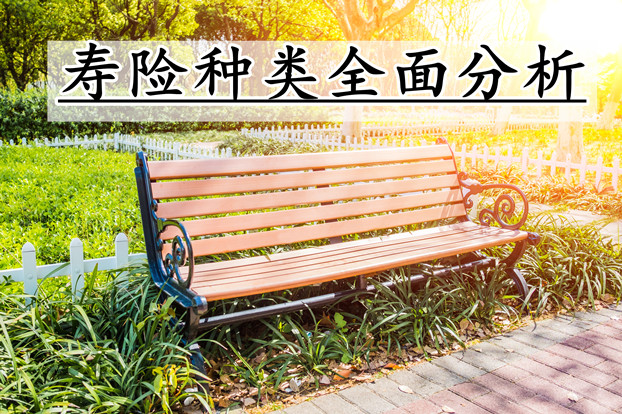壽險有哪些類型？插圖