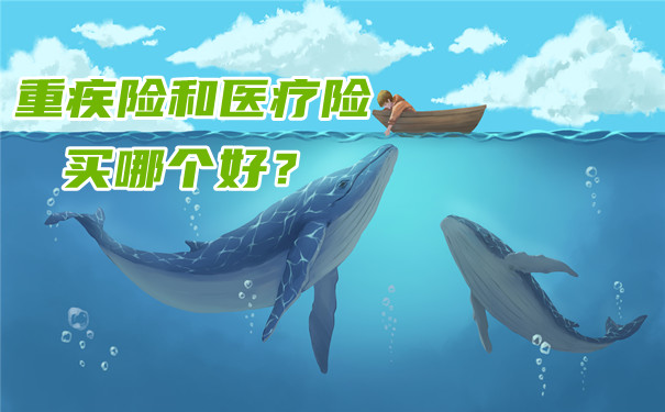 大病保險和醫療保險的區別，哪個(ge) 更值得購買(mai) ？插圖