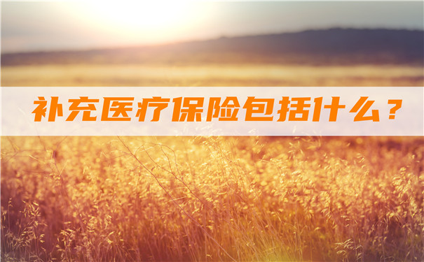 補充醫療保險包括什麽(me) ？補充醫療保險的範圍？插圖