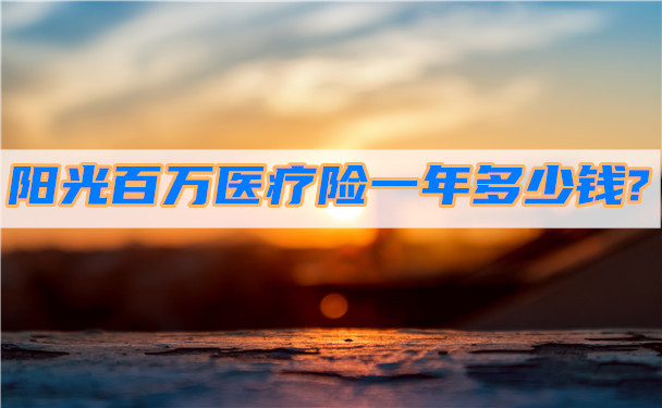 陽光百萬(wan) 醫療保險一年多少錢？陽光百萬(wan) 醫療保險和大病保險的區別插圖