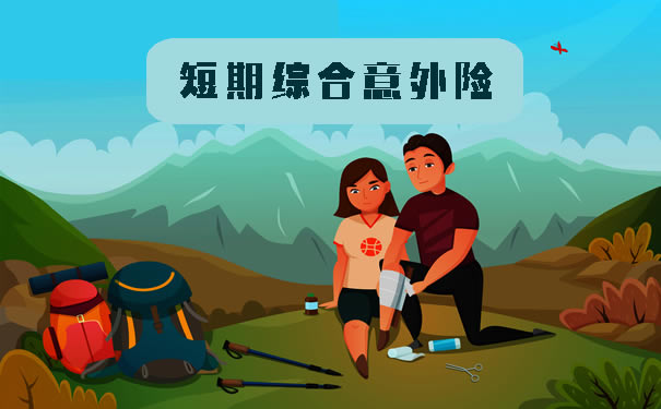 短期綜合意外險選哪個(ge) ？短期綜合意外險哪個(ge) 好？插圖