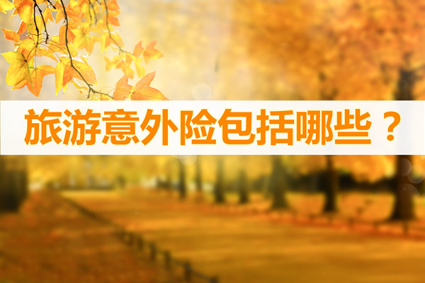 旅遊意外險有哪些？旅遊意外險有哪些？插圖