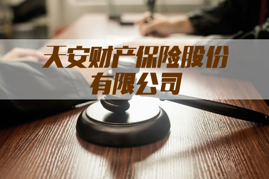 天安財產(chan) 保險有限公司插圖2