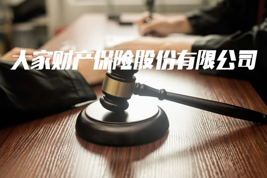 財產(chan) 保險有限公司插圖
