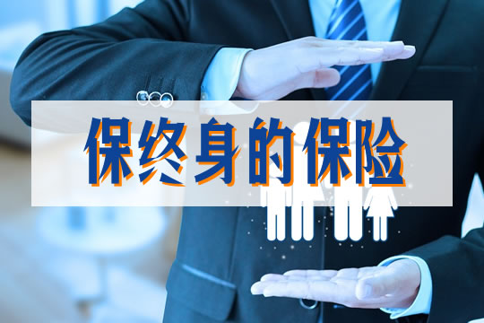 終身保險插圖2