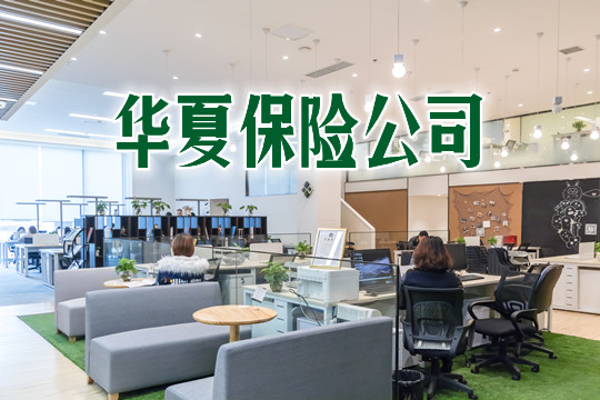華夏保險公司夏保險公司介紹插圖2