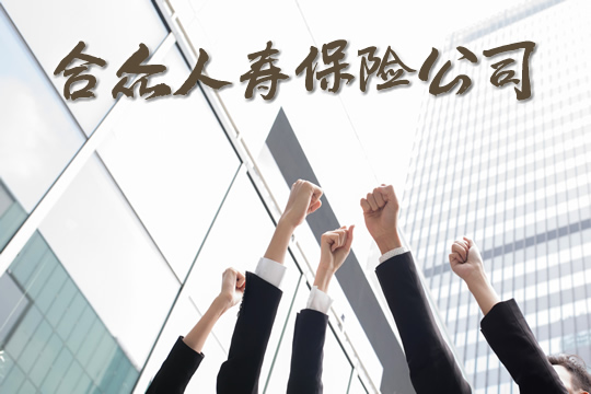 合眾(zhong) 人壽保險公司插圖2