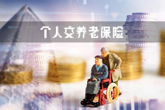 個(ge) 人繳納養(yang) 老保險插圖2
