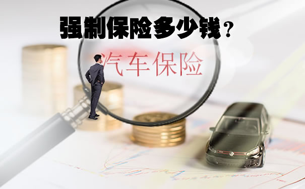 強製保險多少錢？插圖2