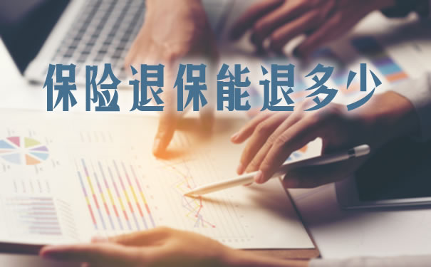 保險退保能退多少？插圖