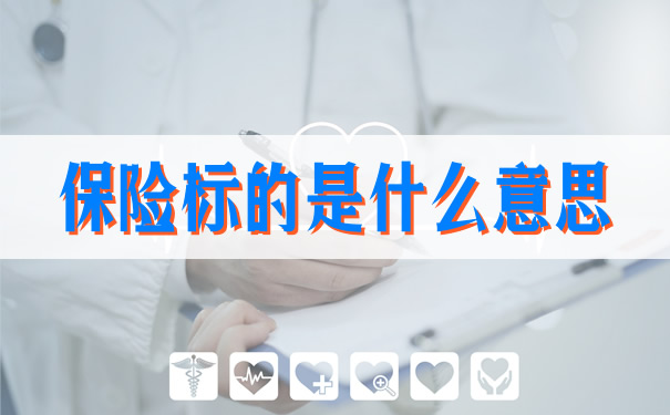 保險標的是什麽(me) 意思？插圖2