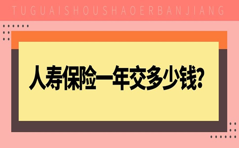 人壽保險一年交多少錢？插圖2