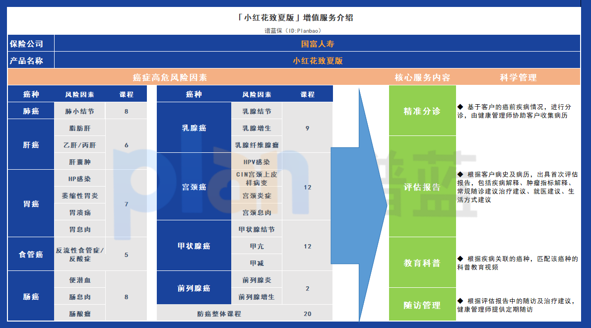 國富人壽小紅花致夏版：保障優缺點，究竟是否值得持有插圖8