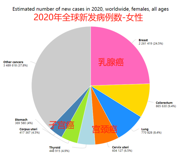 有子宮或卵巢疾病，如何投保？女性必看！插圖4