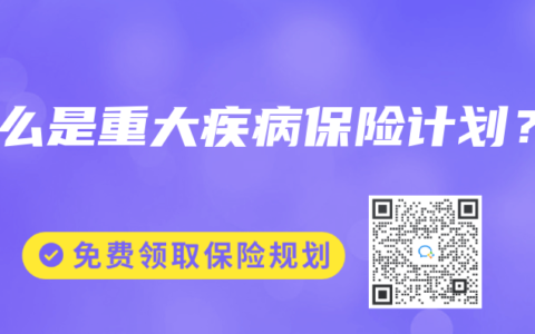 什麽是重大疾病保險計劃？