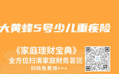 大黃蜂5號少兒重疾險