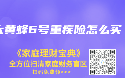大黃蜂6號重疾險怎麽買