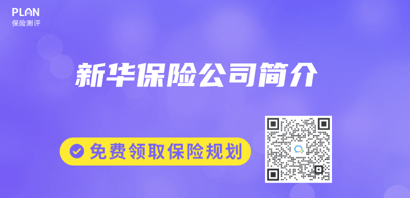 新華保險公司簡介插圖