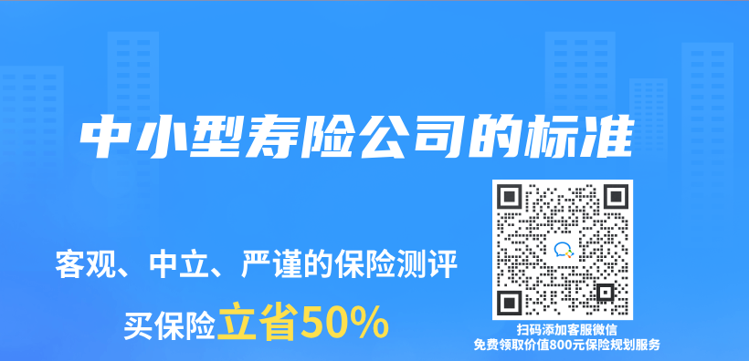 中小型壽險公司的標準插圖