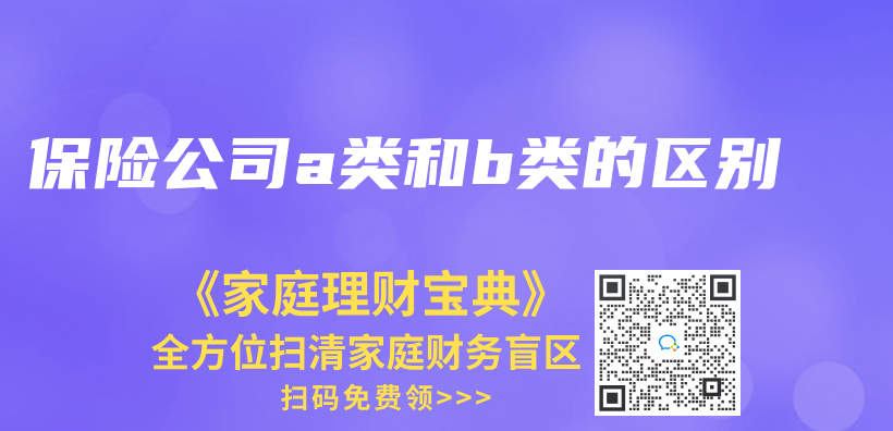 保險公司a類和b類的區別插圖