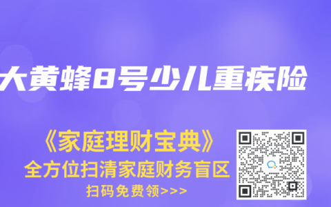 大黃蜂8號少兒重疾險
