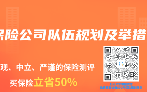 保險公司隊伍規劃及舉措