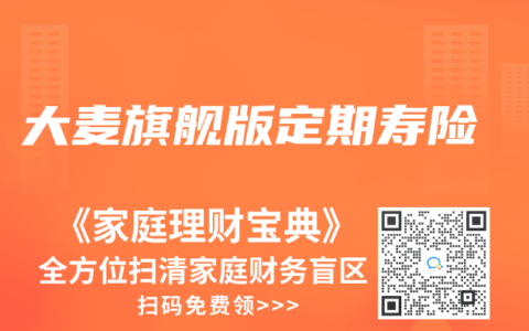 大麥旗艦版定期壽險