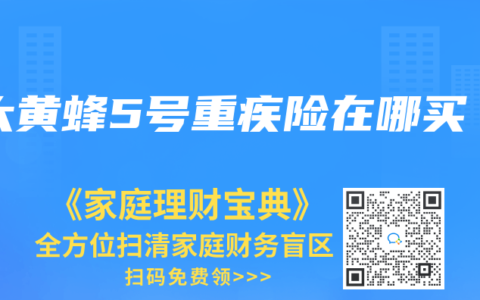 大黃蜂5號重疾險在哪買