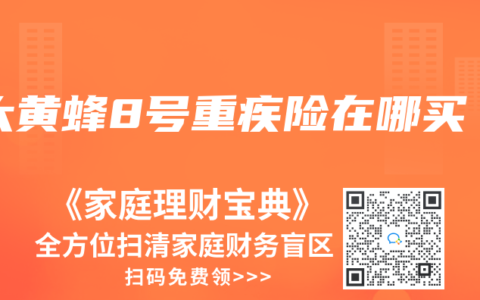 大黃蜂8號重疾險在哪買