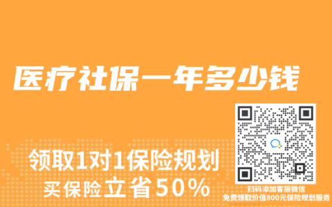 醫療社保一年多少錢