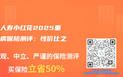 國富人壽小紅花2025重大疾病保險測評：性價比之選