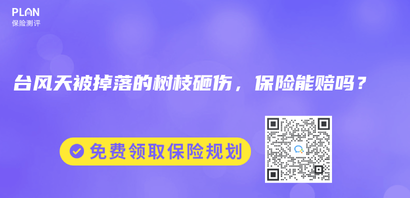 台風天被掉落的樹枝砸傷(shang) ，保險能賠嗎？插圖