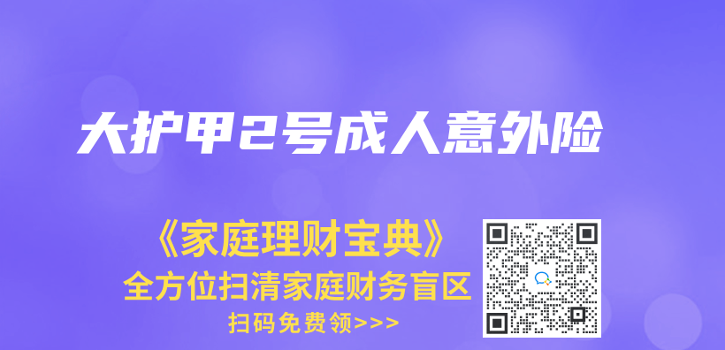 大護甲2號成人意外險插圖